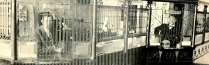1914 Bank with two tellers behind bars of the cashier counter